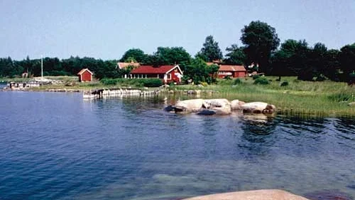 Det kan det bli om ALV beslutar sig att förverkliga Saltkråkan, eller Norröra som ön egentligen heter, i parken i Vimmerby.