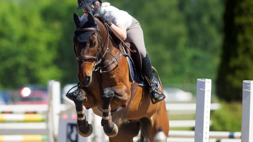 Nykyrka ridklubbs Martina Adolfsson red bra på Ahoy under Linköping horse show.