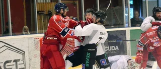Skadedrabbat VIK möter Hästen