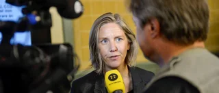 Bevara de mindre dammarna