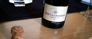 Stal champagne – stack på moped