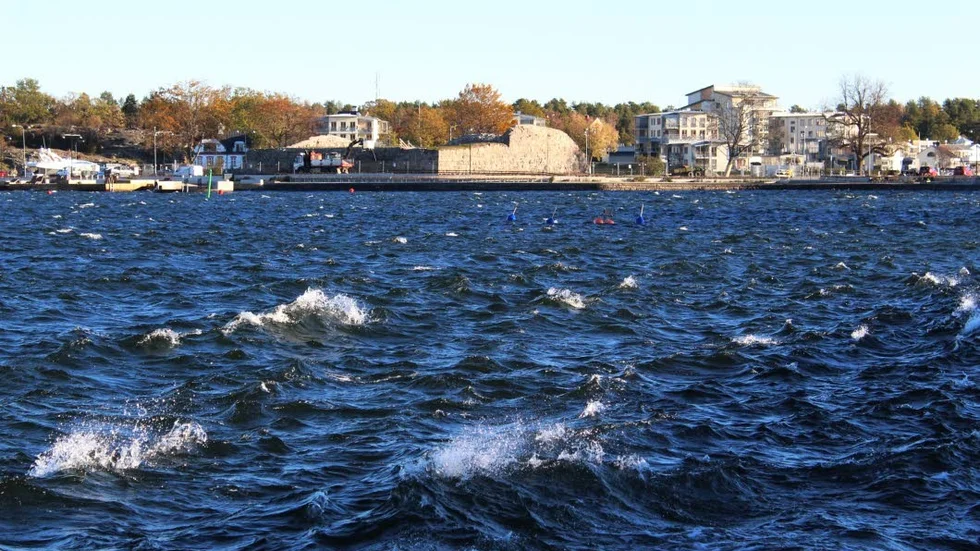 Gamlebyviken nästan kokade stundtals i blåsten.