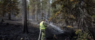 God vilja ska inte straffas