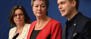 Lång näsa, Miljöpartiet