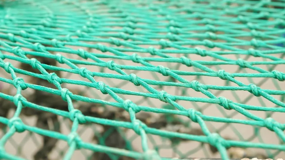 "Vi planterar in fisk för nästan 100 000 i Skogsjön och Svartån varje år – och det är massor av tjuvfiske", säger Roger Ivarsson från fiskevårdsföreningen.