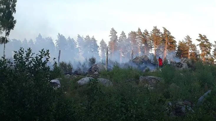 Så här såg det ut när en skogsbrand härjade i Målstena, Åtvidabergs kommun, på lördagen.