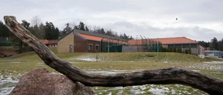 Nya uppgifter: Kriminella fick arbeta på Bärbyhemmet