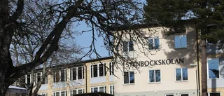 Skola utsatt för vandaler