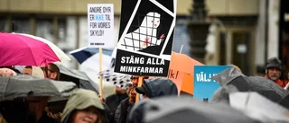 Djurrätt har inget med djurskydd att göra