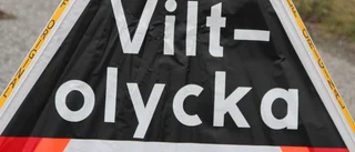 Vilthjälpen gör en viktig insats