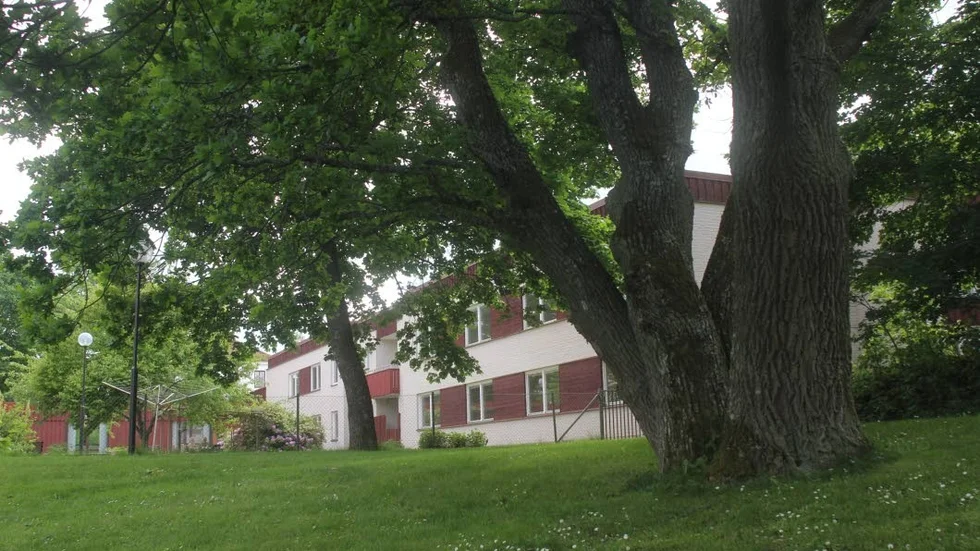 Byggs om. C-huset ligger inklämt i grönskan mellan avdelningarna Rosengården och Björkbacken på Kopparsvanen.
