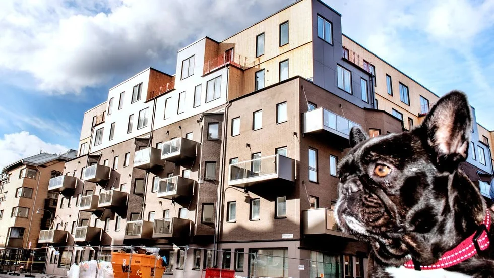 Bostadsrätter. Marknaden tvingas sänka fler priser jämfört med för ett år sedan.