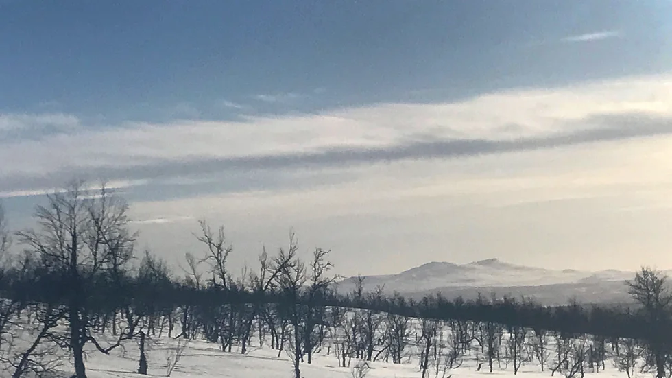 Pieljekaise lågfjällsområde. Bilden är tagen ovanför Tjärnberg.