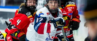 Luleå Hockey/MSSK kunde inte stänga semifinalen