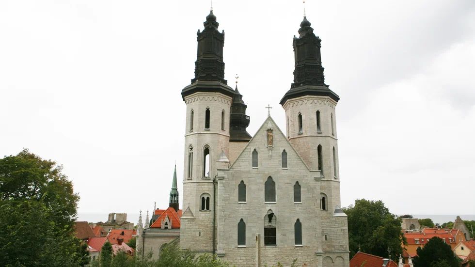 Det var den 11 februari i år som Svenska kyrkans ansvarsnämnd beslutade att ”avkraga” Thomas Petersson, biskop för Visby stift.