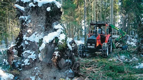 Mats Ödgård kryssar bland rotvältorna för att komma fram med sin skogstraktor. Foto: Lars-Göran Bexell