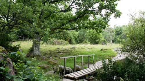 Linköpings kommuns största naturreservat är fullt av praktfulla ekar och spännande historia.