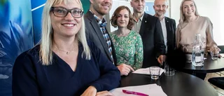 Få detaljer från nya blågröna regionstyret