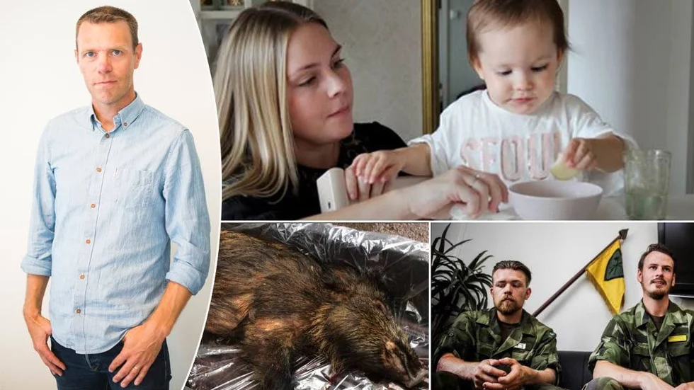 Ett intensivt nyhetsår i länet sammanfattas av Josef Nylén och hans reporterkolleger.