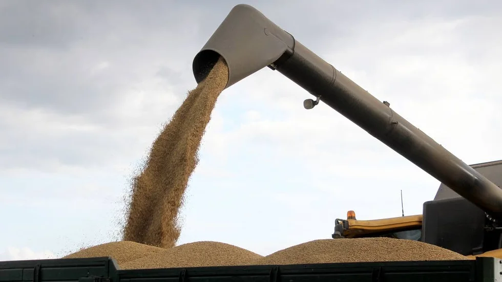 Skörd. I Uppsala län blev snittskörden av höstvete 6 360 kilo per hektar.