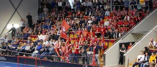 Rudds huvudskada inget som oroar