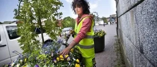 Vårblommor tar tidigt farväl