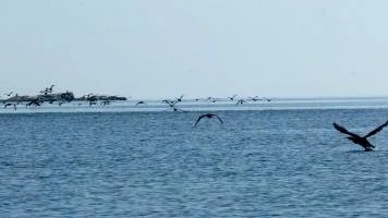 Gräsö östra skärgård.