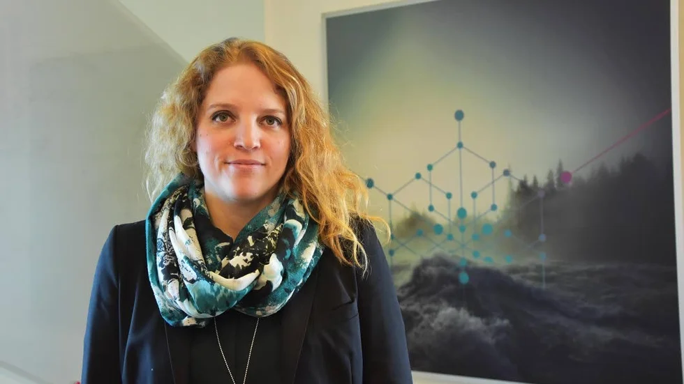 Anne Graf blir ny styrelseordförande hos Blikk.