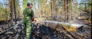 Så mycket skog brann i Jokkmokk