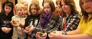Pip och gny i Tärnjöskola