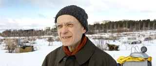 Stort sug efter kolonilotter