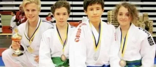 Uppländska judoframgångar