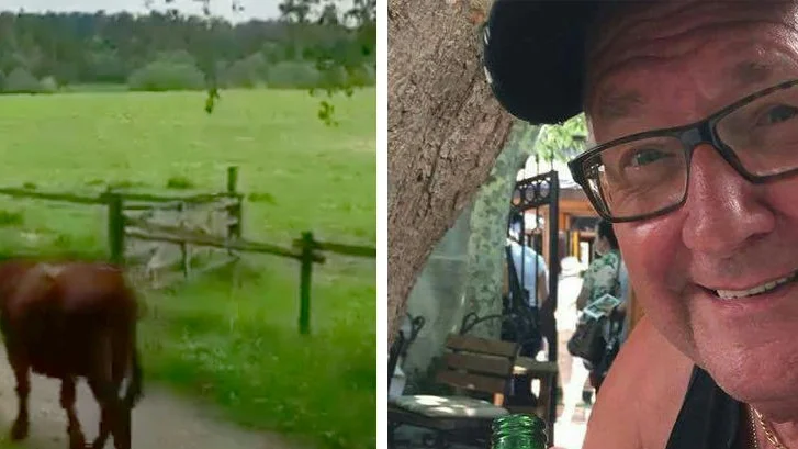 Per-Mikael Lindberg ryckte in och vallade tjuren tillbaka in i hagen igen.