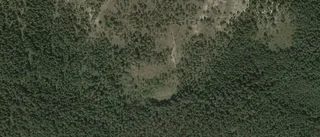 Ägarbyte för gård i Gothem