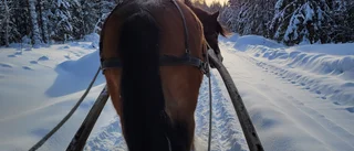 En bild av lycka               