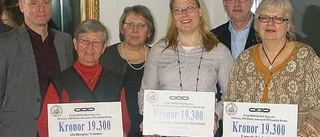 Ideella organisationer fick pengar