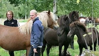 Sigfus Sigfusson och Gisli Johannesson med sina hästar.