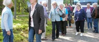 Pensionärer på resande fot