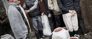 Vet du vem som plockat bären?