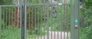 Lilla spinkiga Karin och tjocka Märta