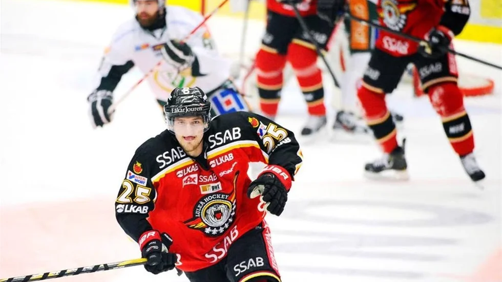 Nya lekkamrat. Anton Hedman ska skapa oro för Brynäs tillsammans medTrukhno och Fabricius.
