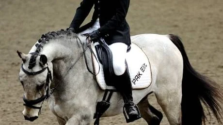 Maja och Icy Q.
