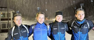 Vintriga höjdpunkter på Pagla