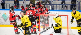 19.00: Se Piteå HC:s avgörande match i Allettan