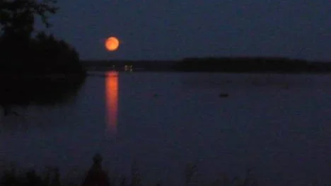 Så här mysigt var det ute i Klubbviken, Norrfjärden en kväll i augusti.
