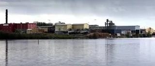 SCA vill köpa Lövholmens såg