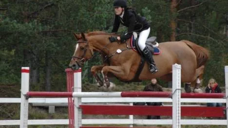 Emmy Hellgren och hästen Corsa gjorde bra ifrån sig i Hudik ryttarcup. Det skiljde bara 0, 38 sekunder till placering.