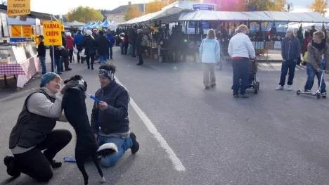 Fint höstväder präglade den första av tre marknadsdagar i Arjeplog. I dag, lördag, accelererar marknaden med en   mängd aktiviteter.