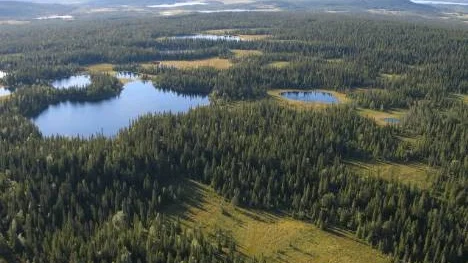 De flesta av de nya naturreservaten, 33 områden, finns inom Arvidsjaurs kommun. Ett av dessa är Surliden, som ter sig så här naturskönt på sommaren från ovan.
