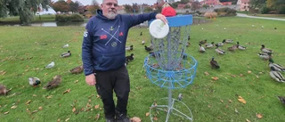 Discgolf på frammarsch – ny bana på Gotland • ”Finns perfekta förutsättningar här”